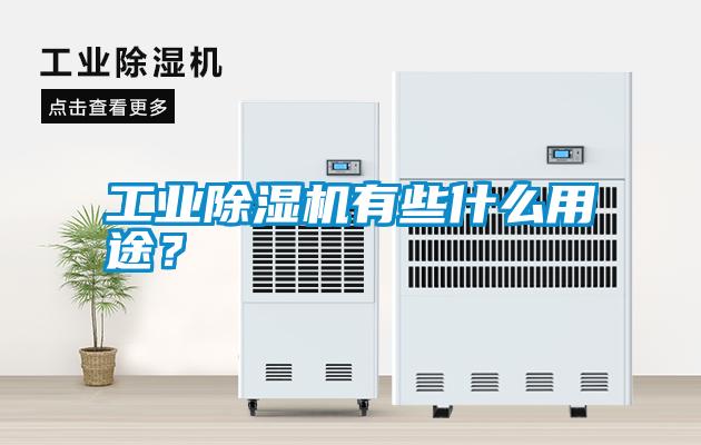 工業除濕機有些什么用途？
