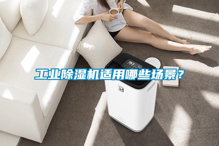 工業除濕機適用哪些場景？