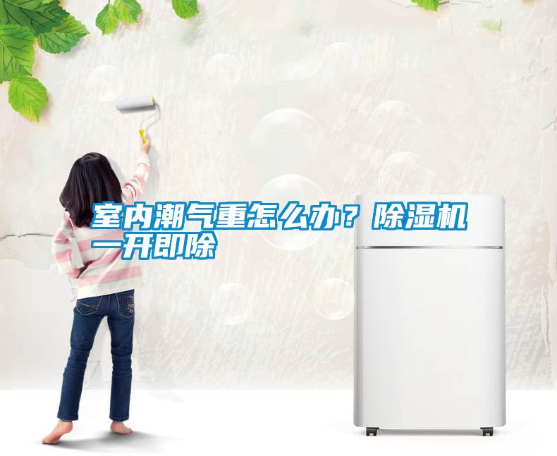 室內潮氣重怎么辦？除濕機一開即除