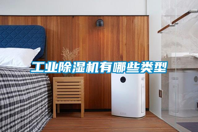 工業(yè)除濕機(jī)有哪些類(lèi)型