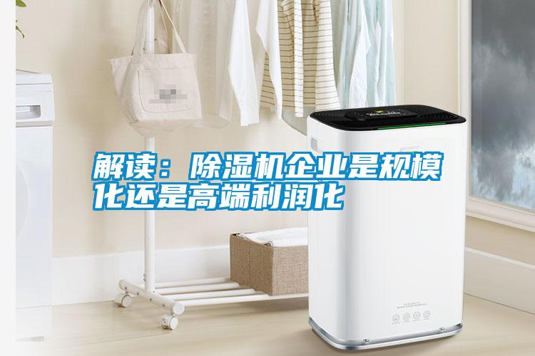 解讀：除濕機企業(yè)是規(guī)模化還是高端利潤化