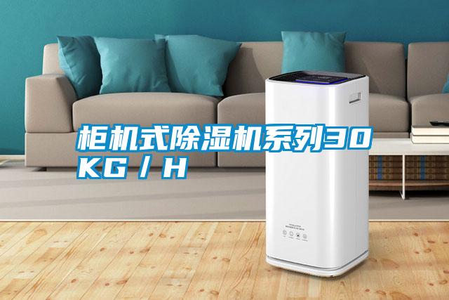 柜機(jī)式除濕機(jī)系列30KG／H