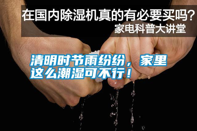 清明時節雨紛紛，家里這么潮濕可不行！