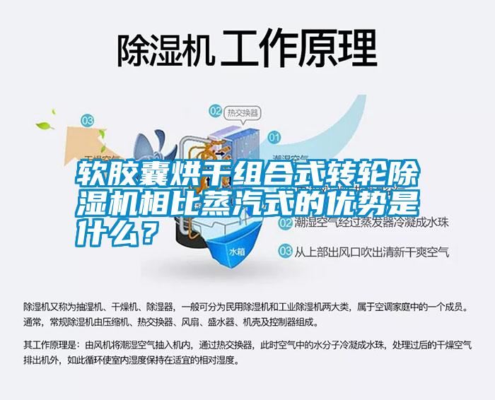 軟膠囊烘干組合式轉輪除濕機相比蒸汽式的優勢是什么？