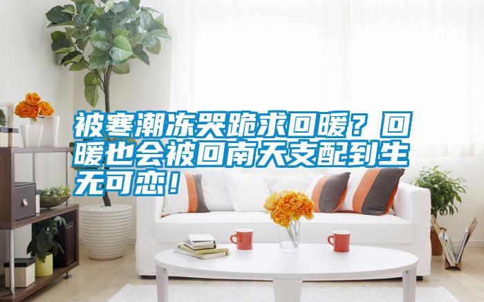被寒潮凍哭跪求回暖？回暖也會(huì)被回南天支配到生無可戀！