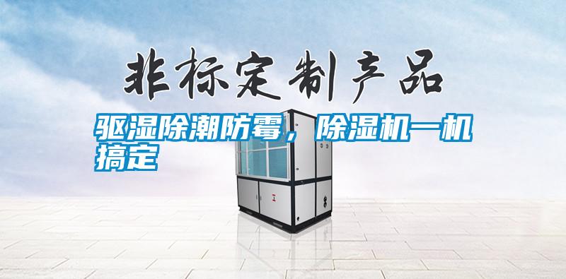 驅濕除潮防霉，除濕機一機搞定