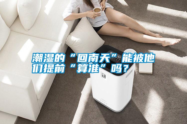 潮濕的“回南天”能被他們提前“算準”嗎？