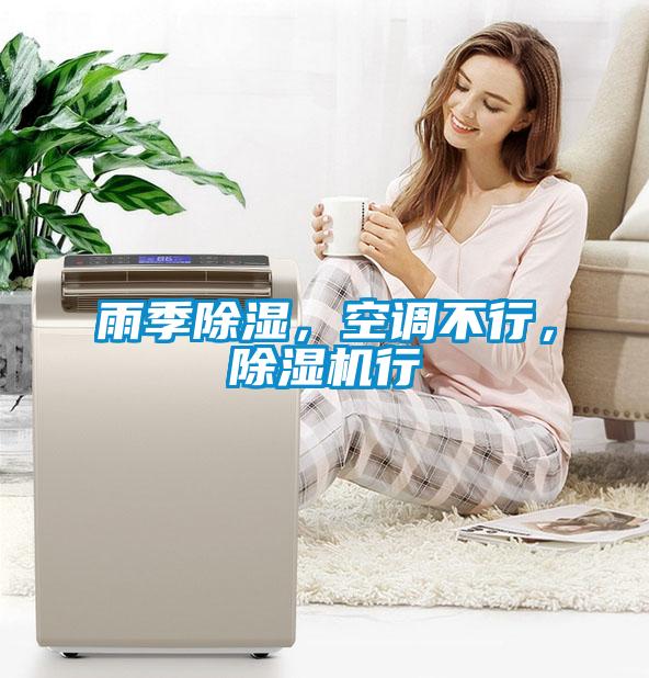 雨季除濕，空調(diào)不行，除濕機(jī)行