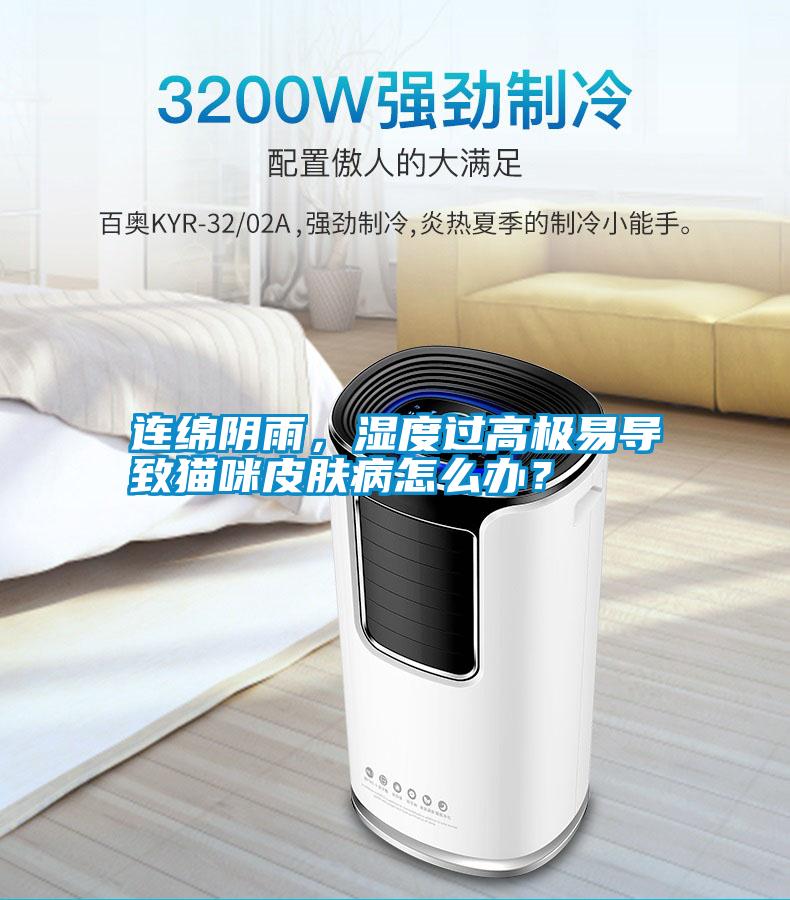 連綿陰雨，濕度過高極易導致貓咪皮膚病怎么辦？