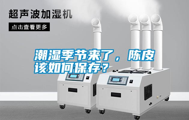 潮濕季節來了，陳皮該如何保存？