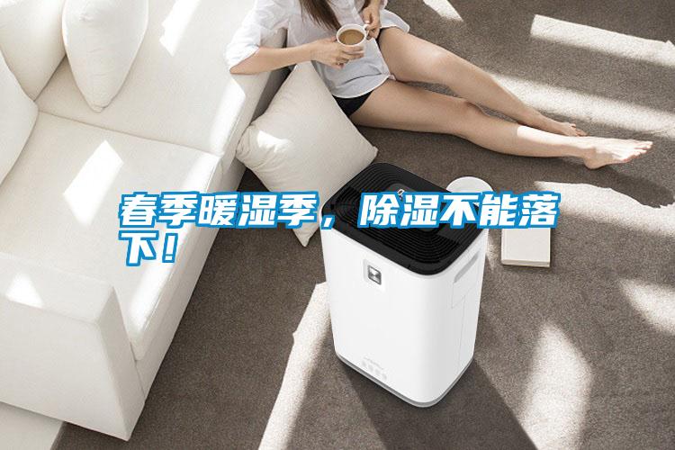 春季暖濕季，除濕不能落下！