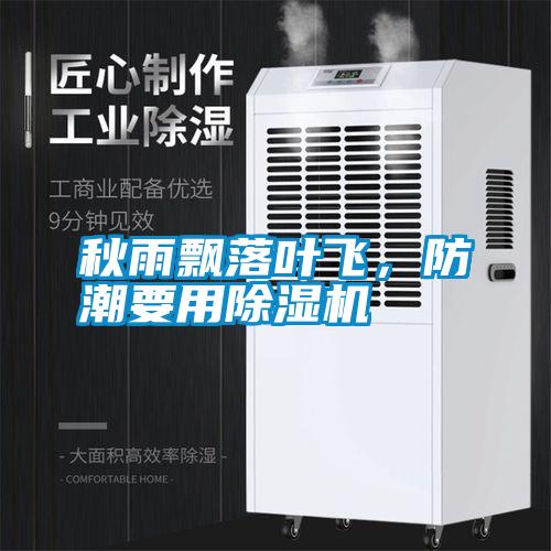 秋雨飄落葉飛，防潮要用除濕機(jī)