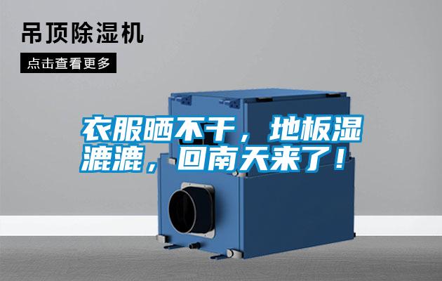 衣服曬不干，地板濕漉漉，回南天來了！