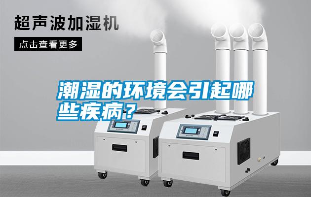 潮濕的環境會引起哪些疾?。?/></p>
                              <p style=