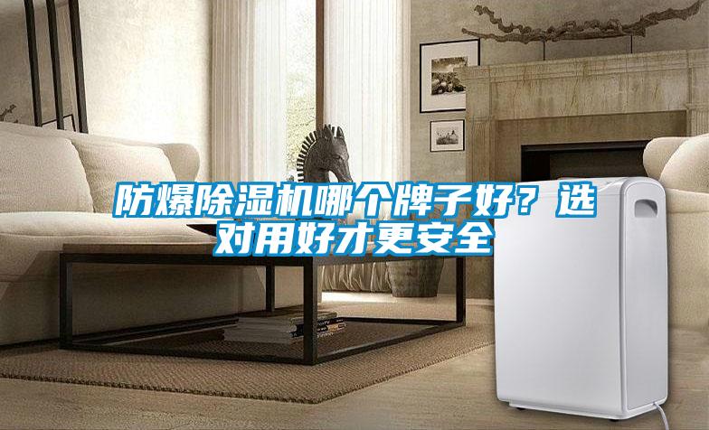 防爆除濕機哪個牌子好？選對用好才更安全