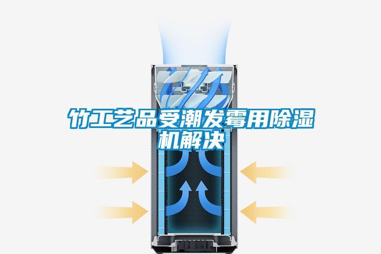 竹工藝品受潮發霉用除濕機解決