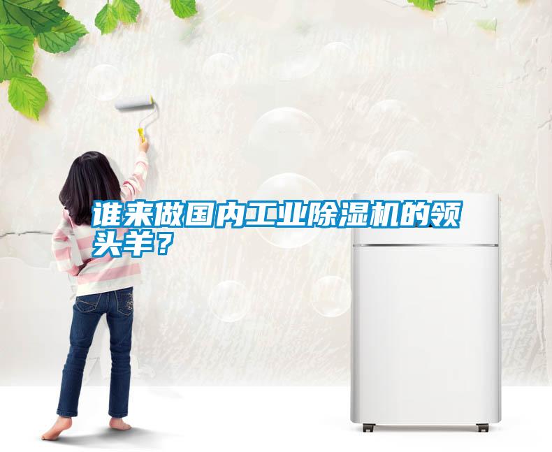 誰來做國內(nèi)工業(yè)除濕機(jī)的領(lǐng)頭羊？