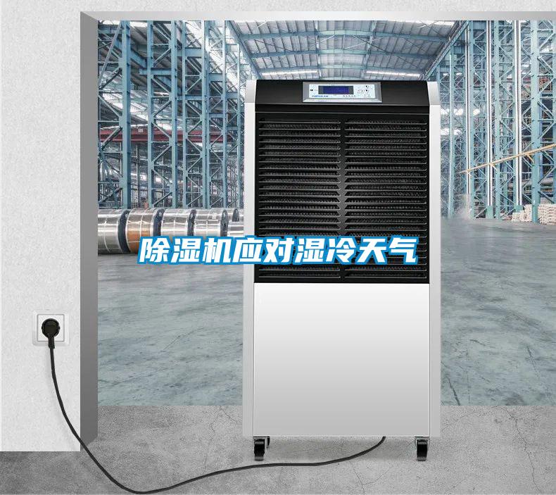 除濕機應(yīng)對濕冷天氣