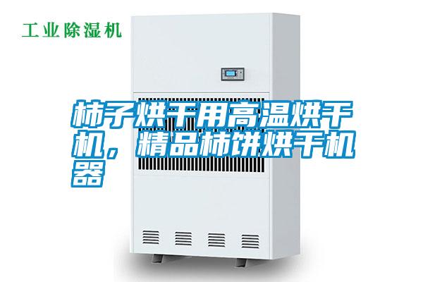 柿子烘干用高溫烘干機(jī)，精品柿餅烘干機(jī)器