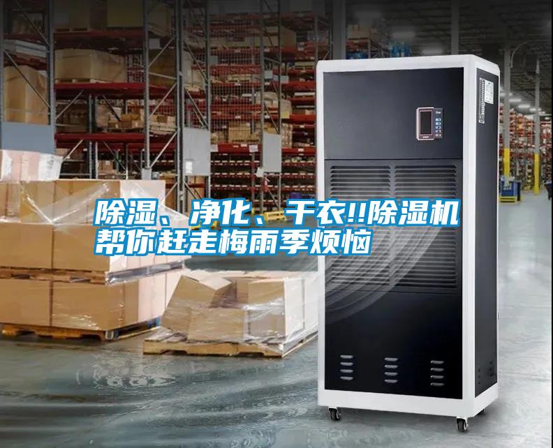 除濕、凈化、干衣!!除濕機幫你趕走梅雨季煩惱