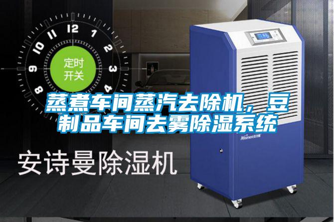 蒸煮車間蒸汽去除機(jī)，豆制品車間去霧除濕系統(tǒng)