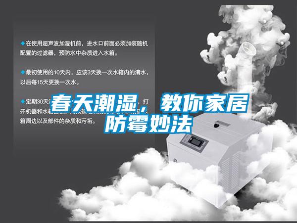 春天潮濕，教你家居防霉妙法