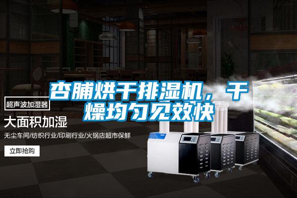 杏脯烘干排濕機(jī)，干燥均勻見效快