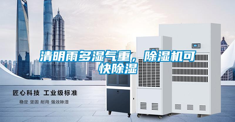 清明雨多濕氣重，除濕機可快除濕