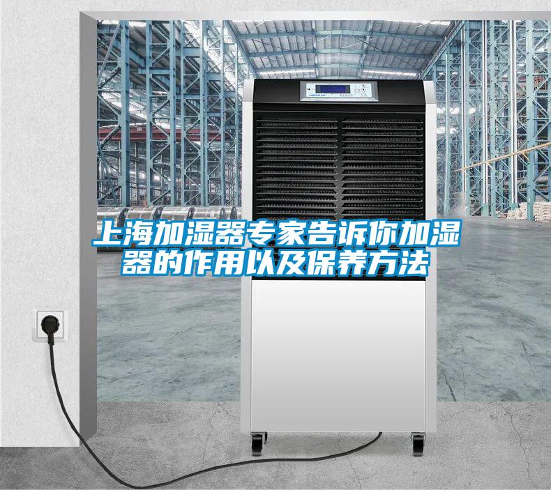 上海加濕器專家告訴你加濕器的作用以及保養方法