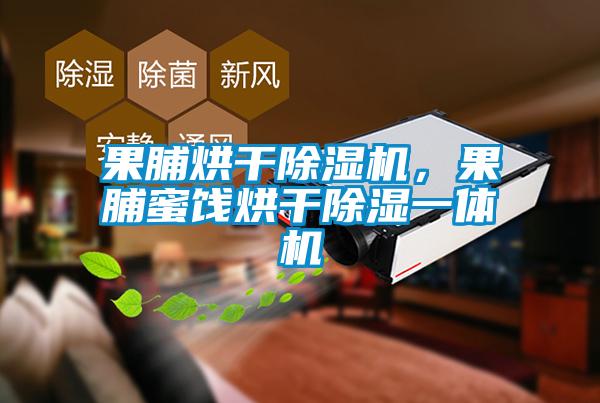 果脯烘干除濕機(jī)，果脯蜜餞烘干除濕一體機(jī)