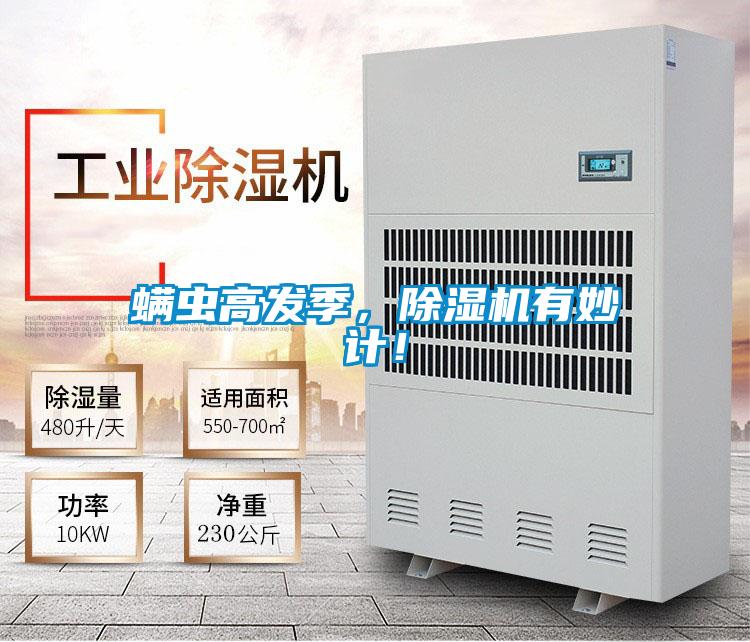 螨蟲高發季，除濕機有妙計！