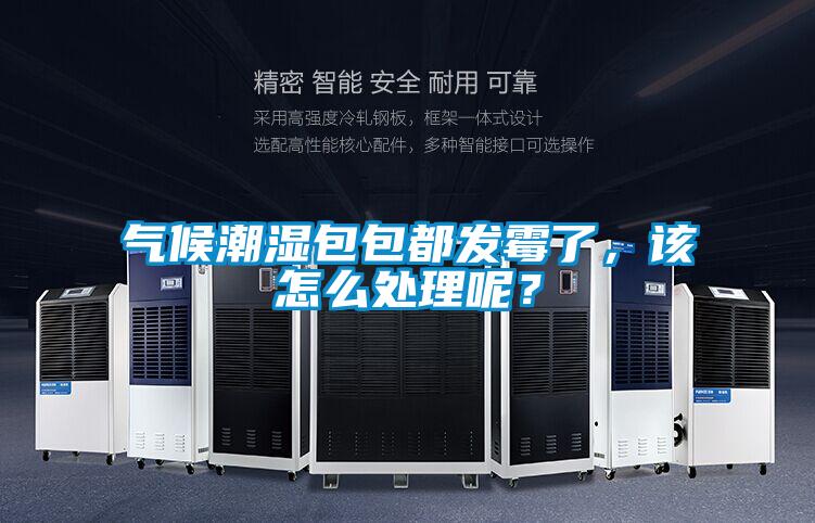 氣候潮濕包包都發(fā)霉了，該怎么處理呢？