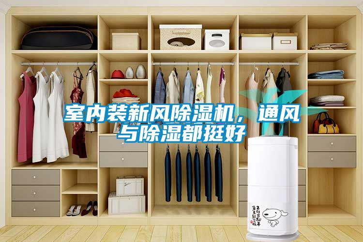 室內(nèi)裝新風(fēng)除濕機，通風(fēng)與除濕都挺好
