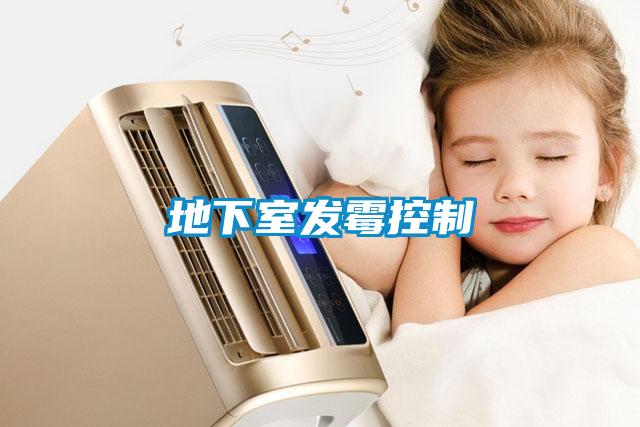 地下室發霉控制