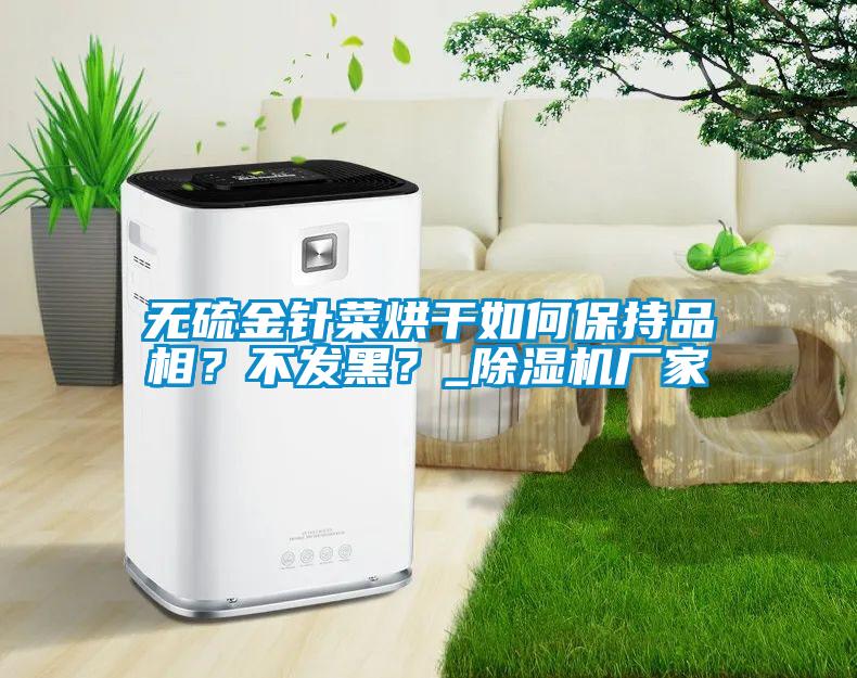 無硫金針菜烘干如何保持品相？不發黑？_除濕機廠家