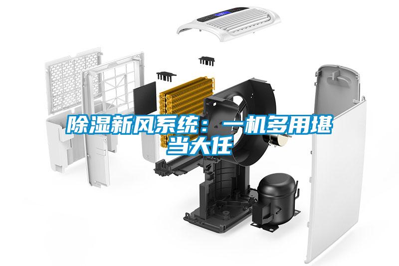 除濕新風系統：一機多用堪當大任