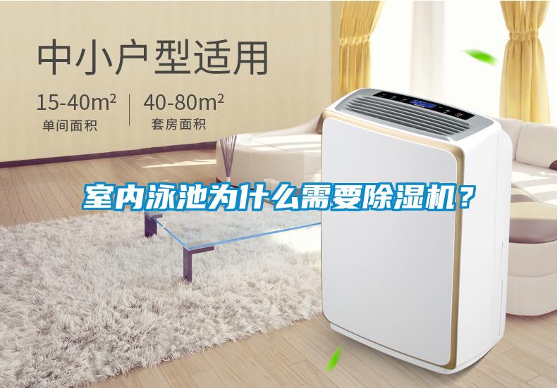 室內(nèi)泳池為什么需要除濕機(jī)？