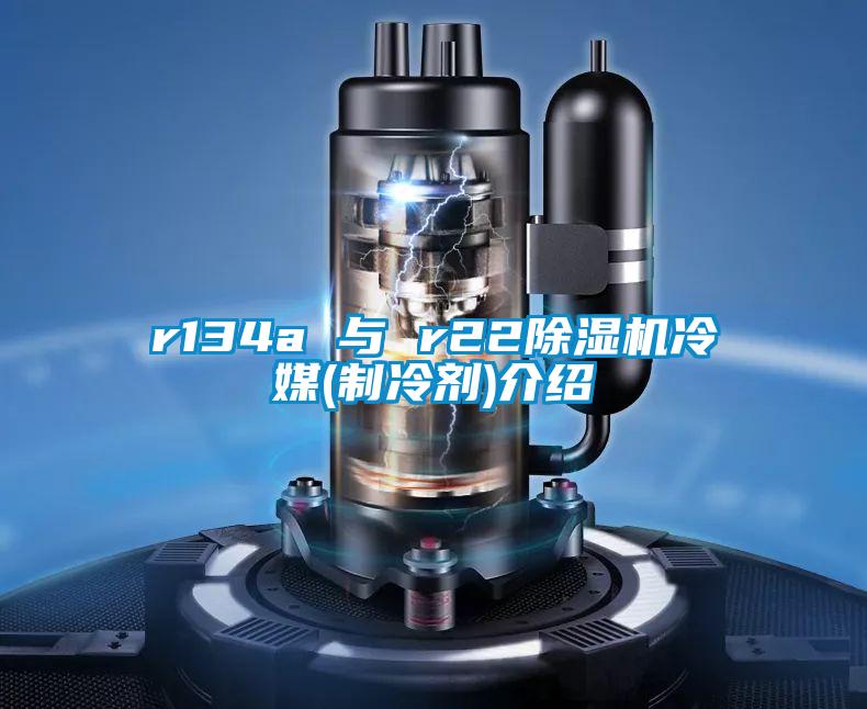 r134a 與 r22除濕機冷媒(制冷劑)介紹