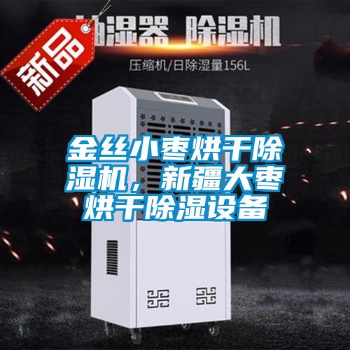 金絲小棗烘干除濕機，新疆大棗烘干除濕設備