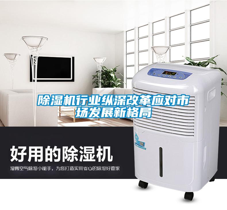 除濕機(jī)行業(yè)縱深改革應(yīng)對市場發(fā)展新格局