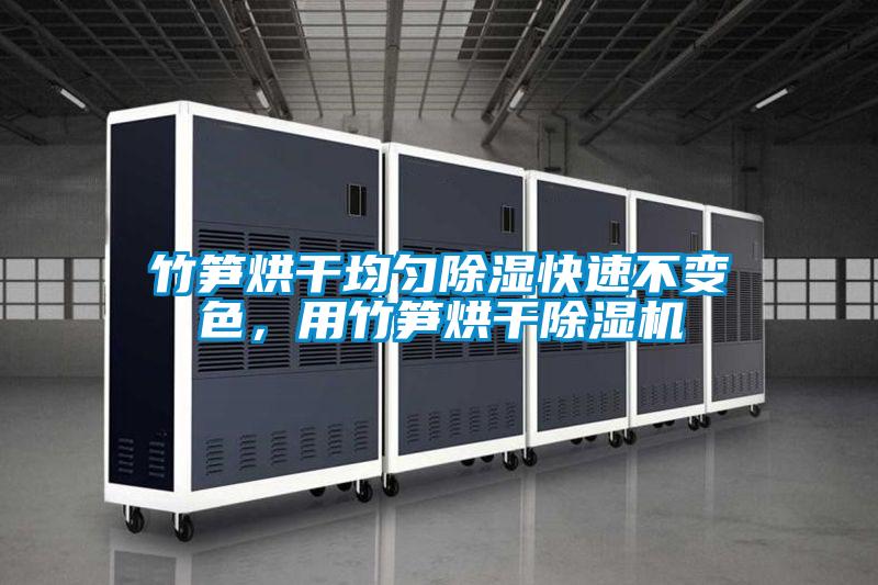 竹筍烘干均勻除濕快速不變色，用竹筍烘干除濕機