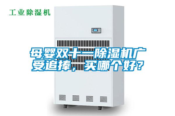 母嬰雙十一除濕機廣受追捧，買哪個好？