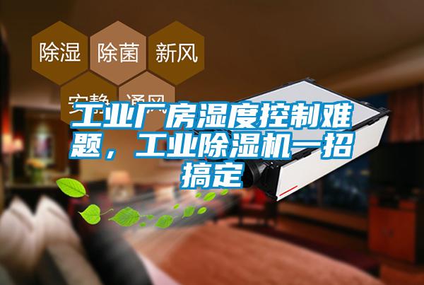 工業廠房濕度控制難題，工業除濕機一招搞定