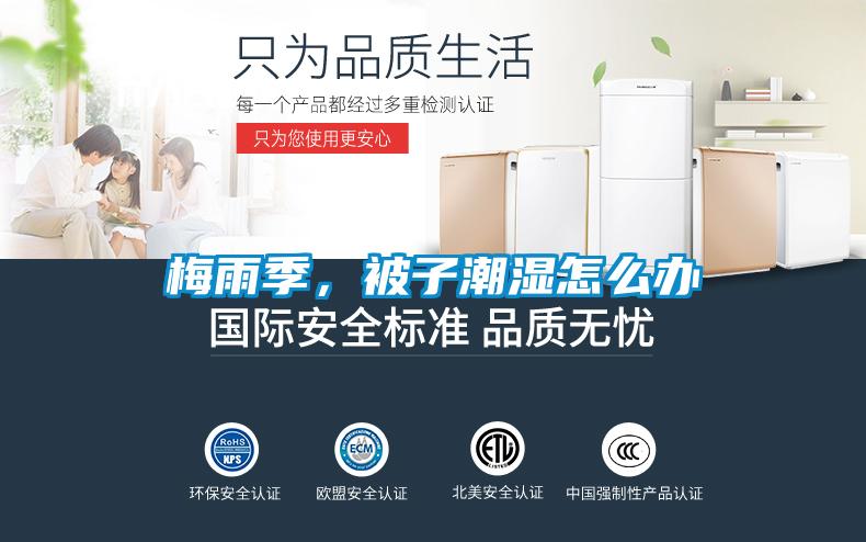 梅雨季，被子潮濕怎么辦