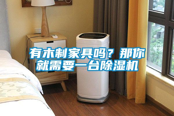 有木制家具嗎？那你就需要一臺除濕機(jī)