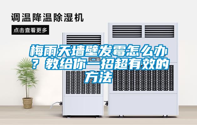 梅雨天墻壁發霉怎么辦？教給你一招超有效的方法