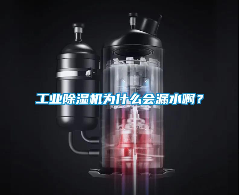 工業除濕機為什么會漏水啊？