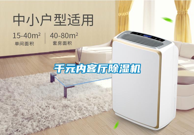 千元內客廳除濕機