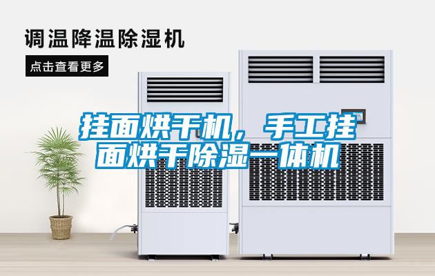 掛面烘干機，手工掛面烘干除濕一體機
