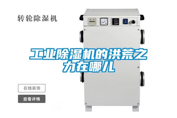 工業除濕機的洪荒之力在哪兒